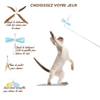 Feather Wand Gen II - Canne à Pêche Interactif Ultra-Légère pour Chats - Uah Pet