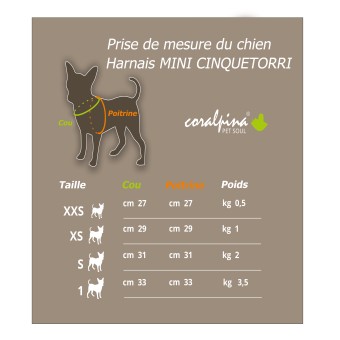 Harnais Mini Cinquetorri Turquoise - Confort et Sécurité pour Chiens - Coralpina