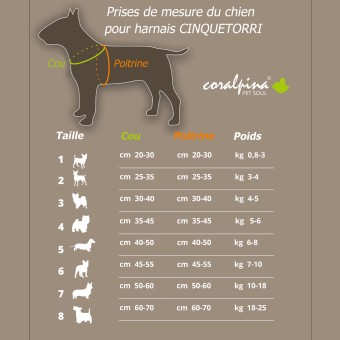 Harnais Vert Fluo Cinquetorri - Confort et Sécurité pour Chiens - Coralpina