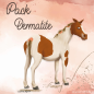 Pack dermatite du Cheval