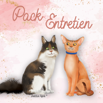 Pack Entretien Complet pour Chats à Poils Courts et Longs - Iv San Bernard