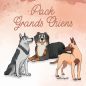 Pack Toilettage Grands Chiens XL - ISB