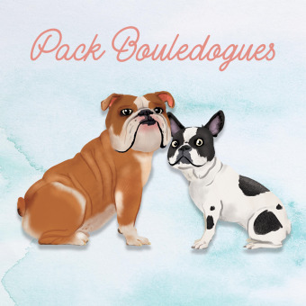 Pack Soin Complet pour Bouledogue - Hydratation Peau Sensible