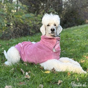 Peignoir pour Chien - Bulle & Douce - Toulouse rose