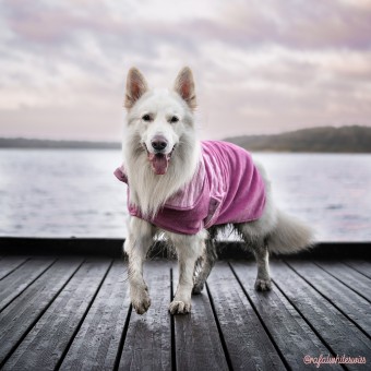 Peignoir pour Chien - Bulle & Douce - Toulouse rose